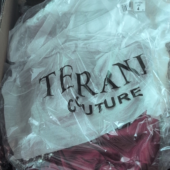 Terani Couture 231P0047 Red Satin Prom Dress Size 4 - Picture 3 of 3